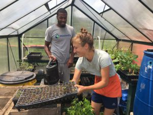 Whitelock Community Farm in Baltimore City received a Spring 2017 Keep Maryland Beautiful Grant.