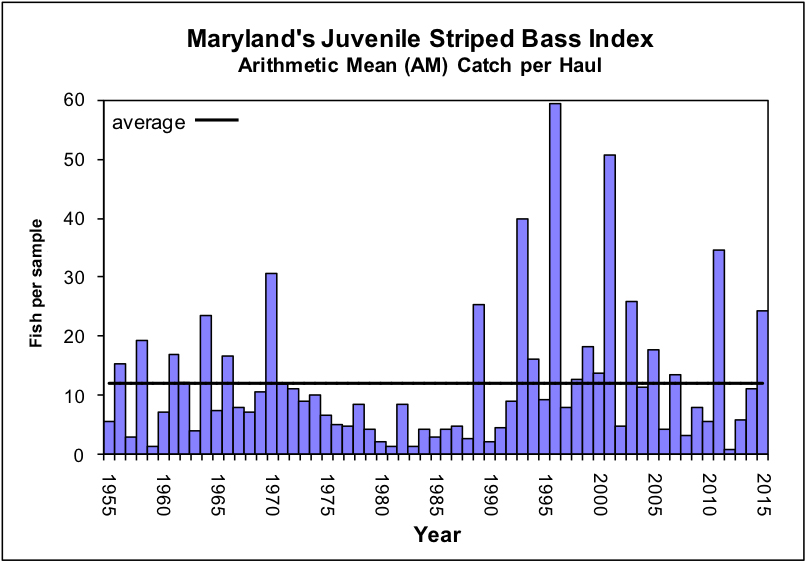 Graph Showing Maryland’s Annual Striped Bass Juvenile Results 