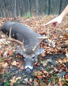 Officers Seized an illegally harvested nine-point buck 
