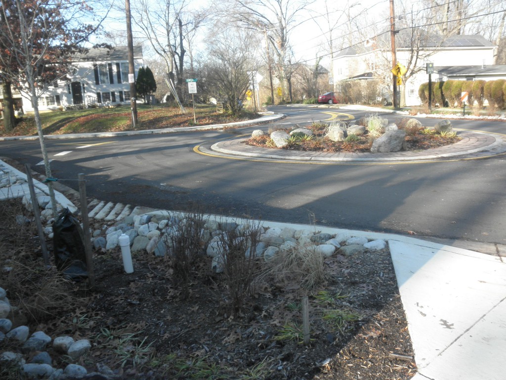 Bioretention project along a traffic circle in Takoma Park filters contaminants and sediment from polluted runoff