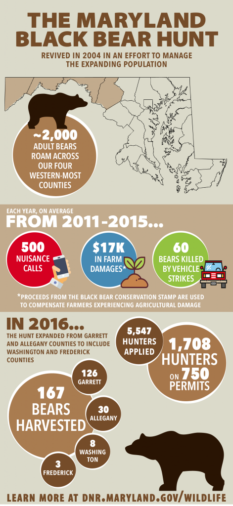bear-hunt-infographic-1