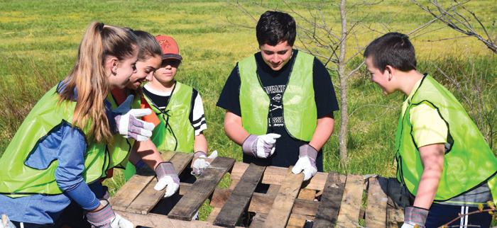 Students using pallets to build bug hotels; photos by Francis Smith