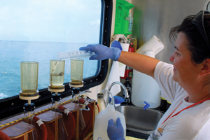 Scientist collecting samples; Chesapeake Bay Program