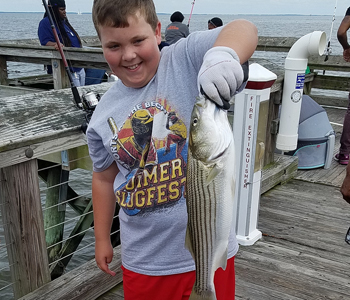 Photo of: Child on pier holding up a striped bass