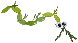 Illustration of a leaf critter