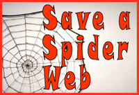 Save a Spider Web