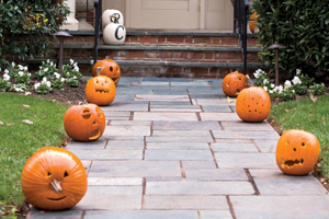 Photo of: Pumpkin-lined walkway to front door