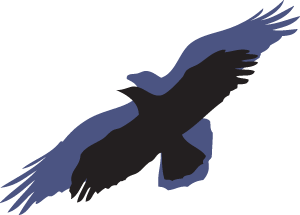 Image of: Crow in silhouette of raven