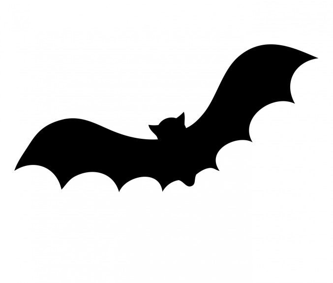 Photo of: Bat silhouette