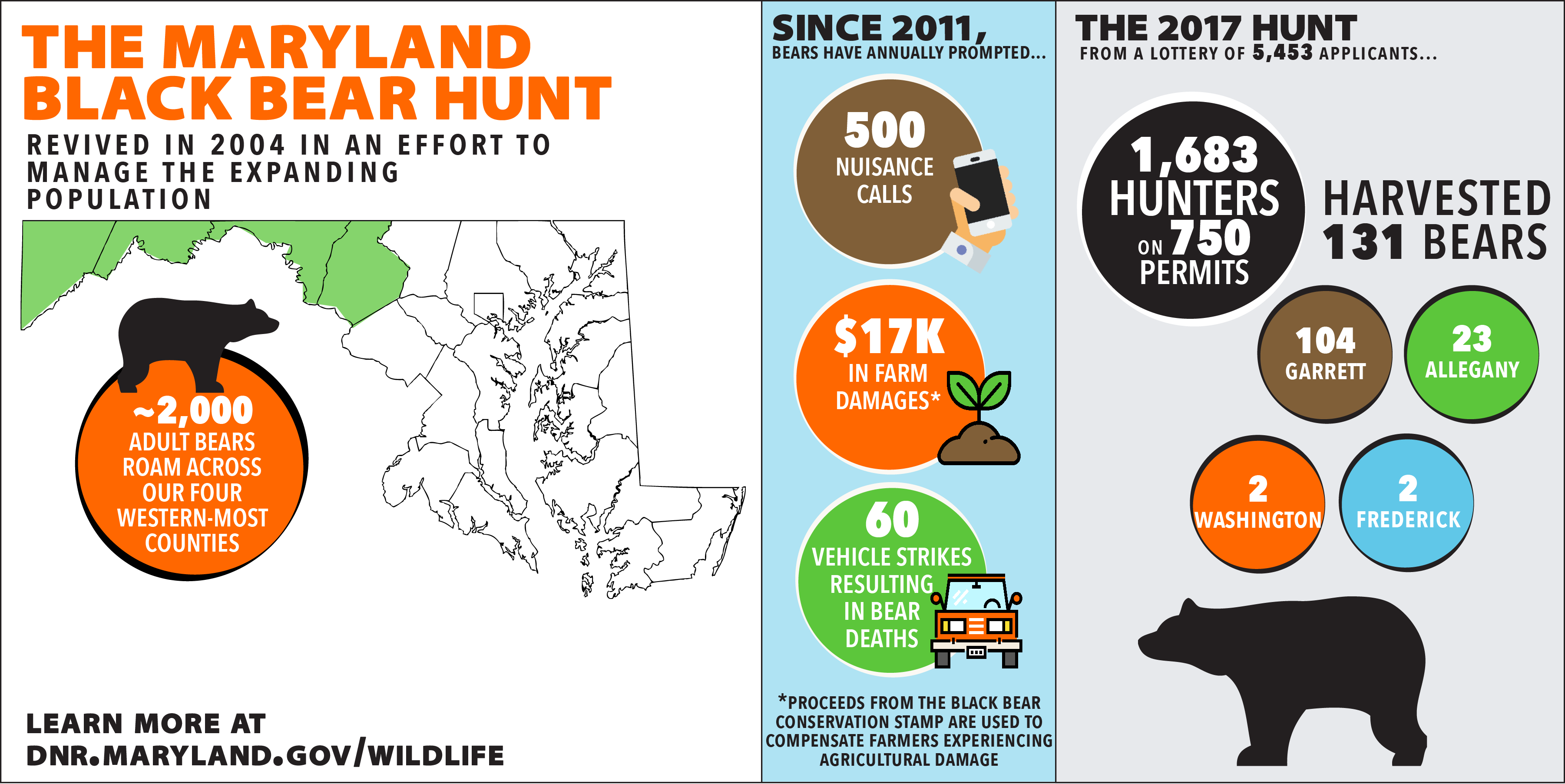 Infographic on the 2017 Black Bear Hunt