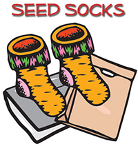 Illustration of Seed Socks