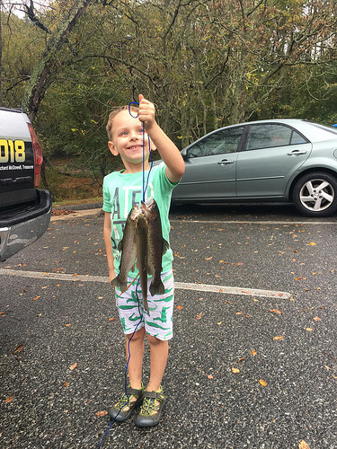 Boy holding up his catch of trout.