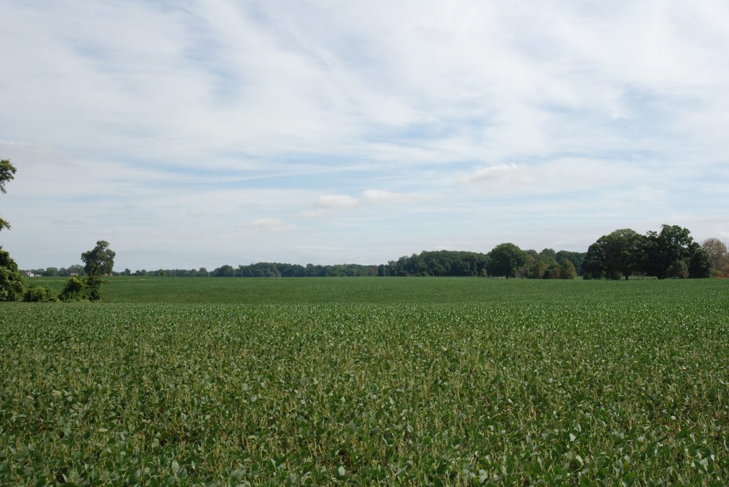 Photo of Bohemia Manor Farm property in Cecil County