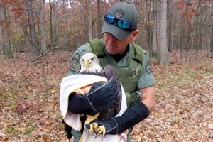 Photo of: Officer holding eagle in blanket