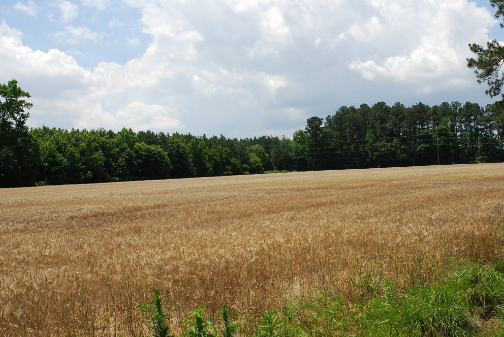 Photo of Lee Haven Farm property in Talbot County