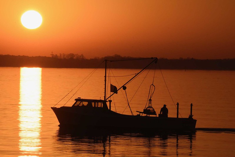 Photo of oyster boat out at sunrise