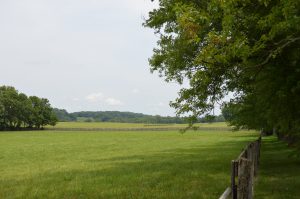 Photo of Fenwick farm property in Baltimore County, donated for conservation