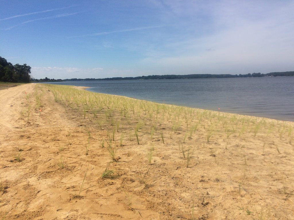 Photo of Conquest Preserve waterfront