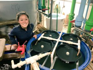 Photo of Jennifer Tam, researcher on freshwater mussel restoration project
