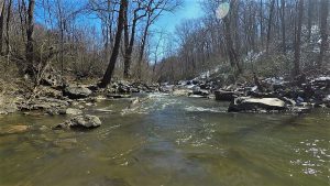 Photo of section of the South Branch Patapsco River near Sykesville 