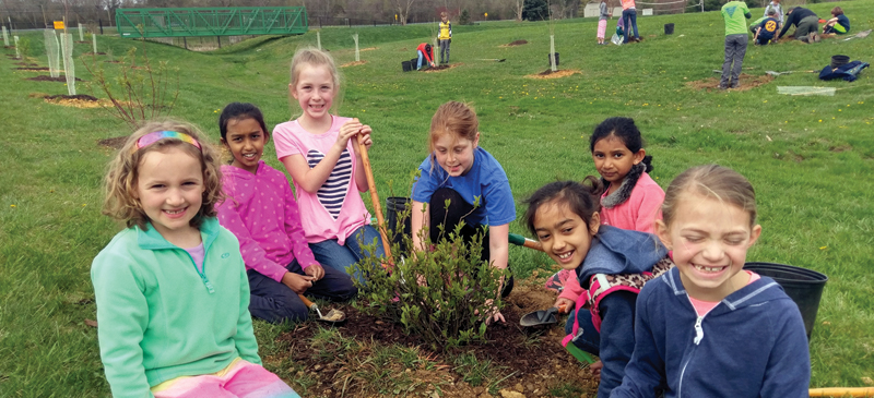 Photo of children planting a shrub