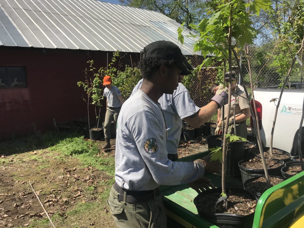 Photo of corps member with trees