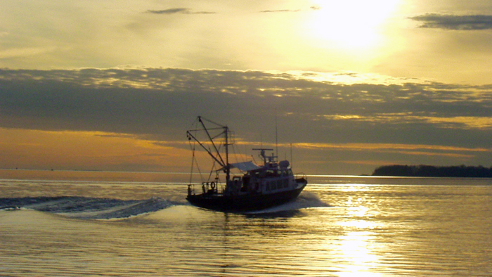 Photo of research vessel on water at sunset