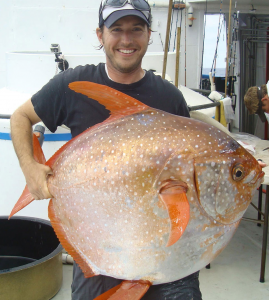 Photo of man holding large, round orange fish