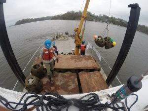 Photo of reef Balls being lowered into position