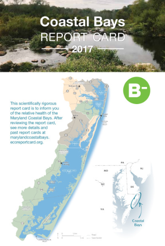 Photo of Coastal Bays Report Card