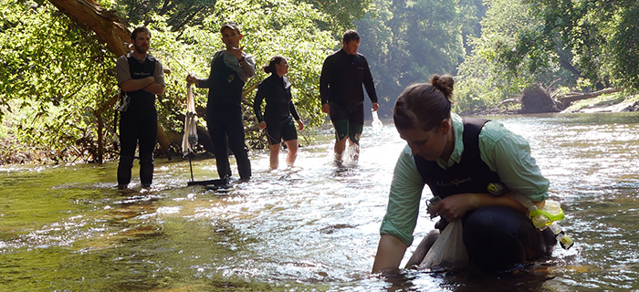 photo of biologists, close-up of woman looking for mussels in water