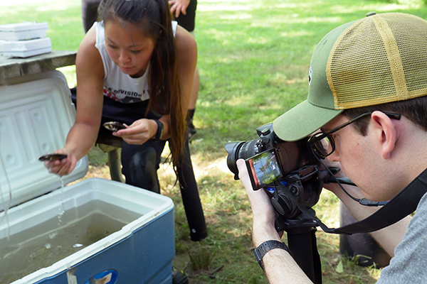 Man filming mussel restoration efforts