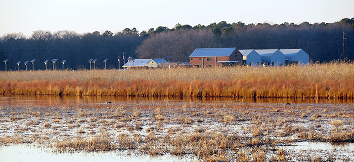 photo of visitor center building from marshy land nearby