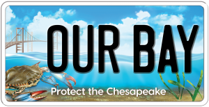 Photo of bay license plate