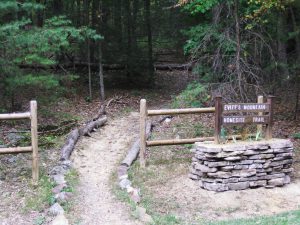 Photo of beginning of trail