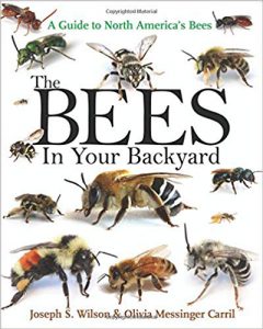 Image of Bees in Your Backyard book cover