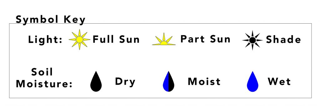 Image of light and soil moisture symbols