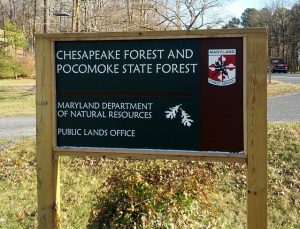 Photo of Chesapeake Forest and Pocomoke State Forest Sign