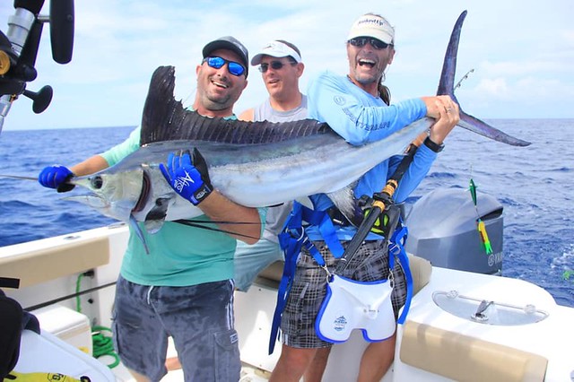 Photo of three men with white marlin