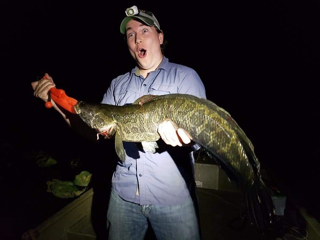 Photo of man with northern snakehead