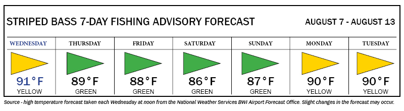 Image of Striped Bass Fishing Advisory Forecast, showing yellow flag days on Wednesday, Monday and Tuesday; and green flag days on Thursday, Friday, Saturday, and Sunday