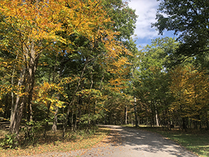 Photo of Rocky Gap State Park Campground loop