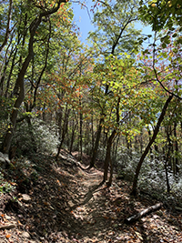 Cherry Creek Trail at Deep Creek Lake State Park