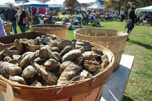 Oysterfest at the Chesapeake Bay Maritime Museum