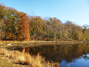 Cedarville State Forest Pond, photo by Daniel Akwo