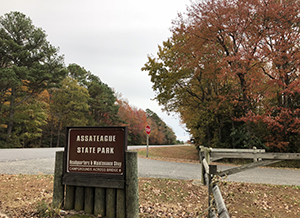 Assateague State Park Entrance, photo by Angela Baldwin