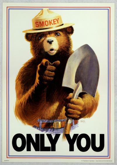 Image of Smokey Bear "Only You" poster
