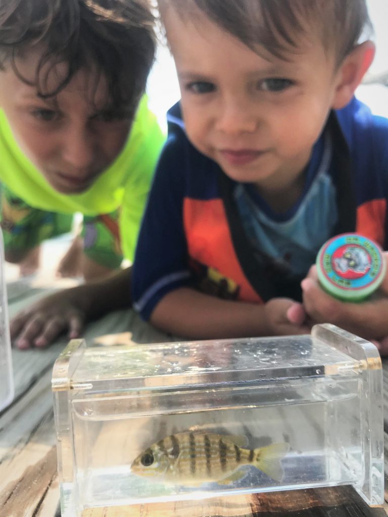 Photo of kids looking at fish