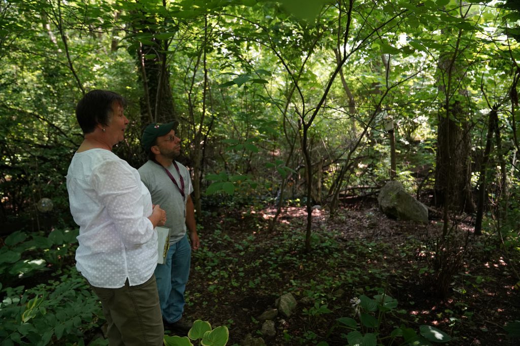 Photo of two people standing in forest looking at vegetation