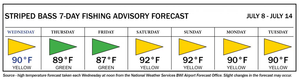 Striped bass fishing advisory forecast showing yellow days Wednesday and Saturday through Tuesday, green days on Thursday and Friday